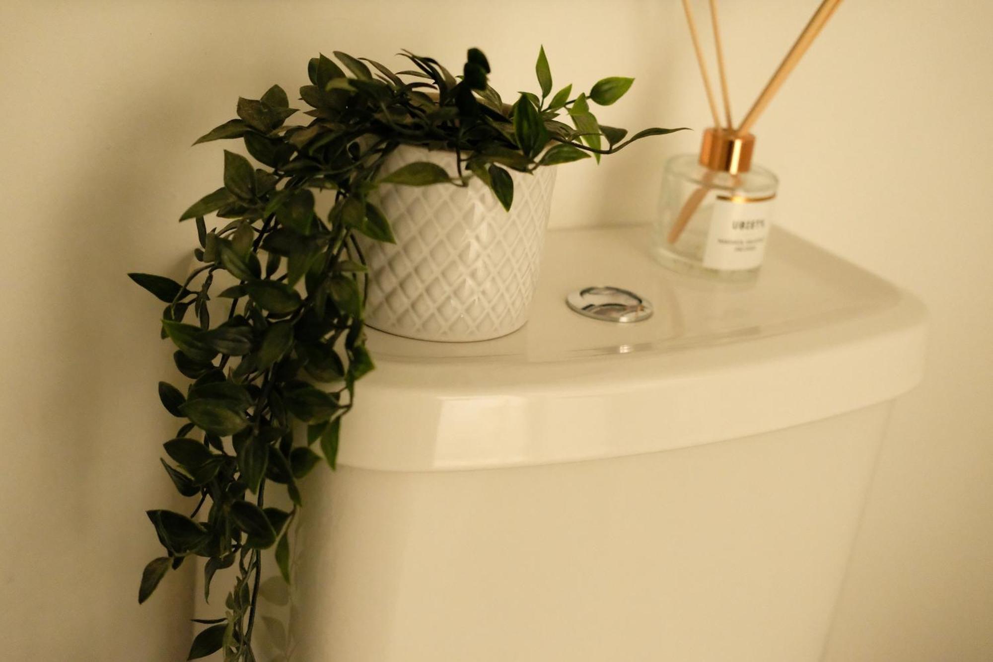 Spacious City Centre Apartment Bath Eksteriør bilde